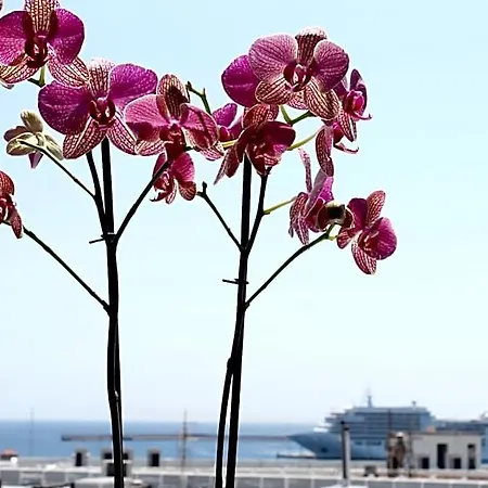 Savoy Rhodes City